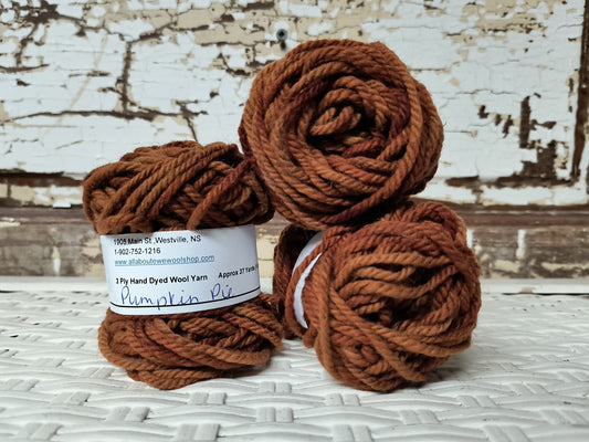 Pumpkin Pie Hand Dyed Wool Yarn Cake