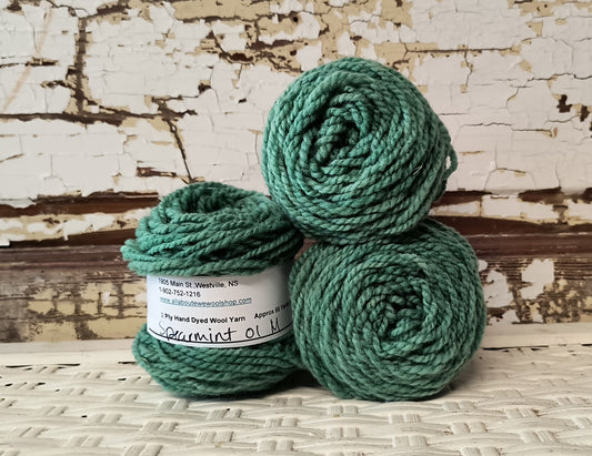 Spearmint 01 M Hand Dyed Wool Yarn Cake